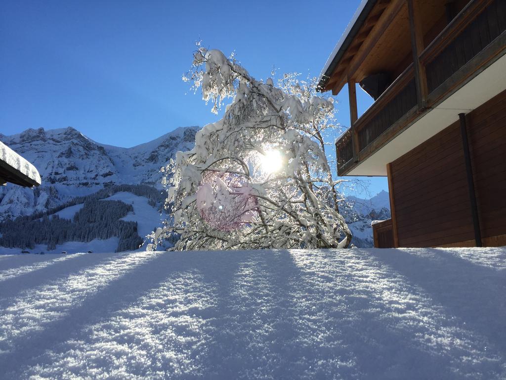 Hotel Steinmattli Adelboden Exteriér fotografie
